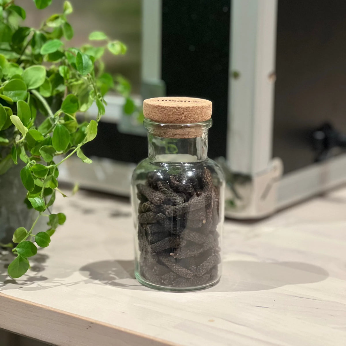 RIVSALT - Java Long Pepper im Glas - Produktansicht 5