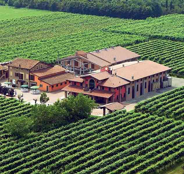 Weinberge und Anwesen der Acetaia Leonardi aus der Vogelperspektive